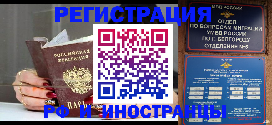 прописка в Белой Холунице